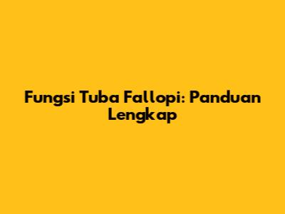 Fungsi Tuba Fallopi: Panduan Lengkap